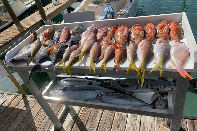 Private 3/4 Day 6hr Fish, Snorkel & Cruise Charter on Shady Grady - Fishing Opportunities