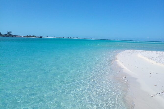 Private 3/4 Day 6hr Fish, Snorkel & Cruise Charter on Shady Grady - Snorkeling Experience
