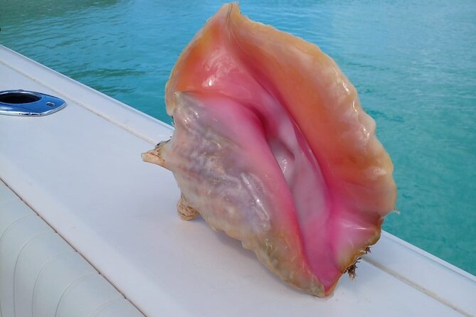 Private 3/4 Day 6hr Fish, Snorkel & Cruise Charter on Shady Grady - Booking Your Stay