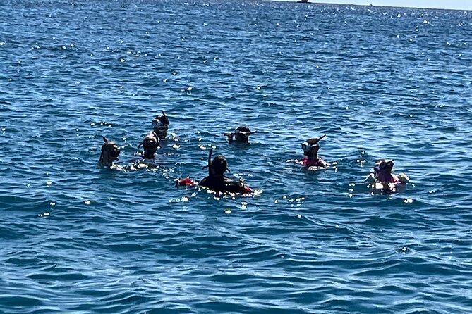 Private 3.5 Hr Snorkel Charter in Waikiki - Meeting and Pickup Details