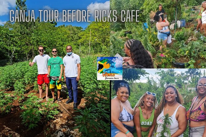 Private 3-5h Natural Herbs Tour, Shopping & Dinner at Ricks Cafe - Experience Highlights