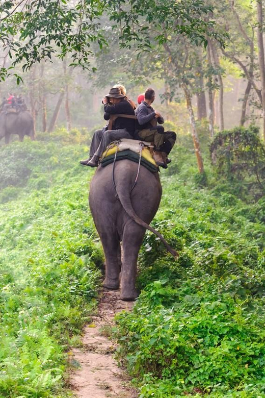 Private 3-Day Chitwan Safari Tour - Itinerary Highlights