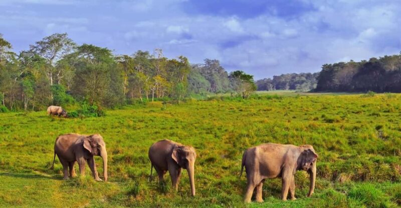 Private 3-Day Chitwan Safari Tour - Day 1: Arrival and Cultural Experience