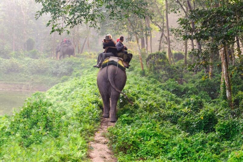 Private 3-Day Chitwan Safari Tour - Inclusions