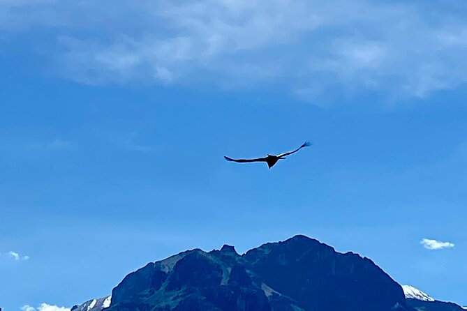 Private 3-Day Hiking Tour of the Colca Canyon - Key Points