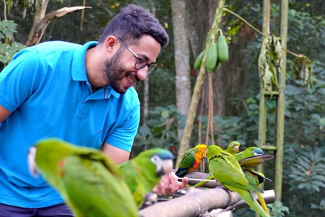 Private 3-Day Iguazu Falls Tour - Day 1: Exploring the Brazilian Side