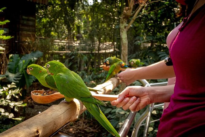 Private 3-Day Iguazu Falls Tour - Day 3: Optional Excursions