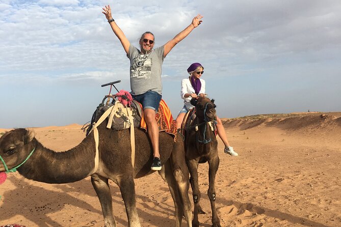 Private 3 Day Luxury Desert Tour From Fez to Marrakech - Accommodations and Dining