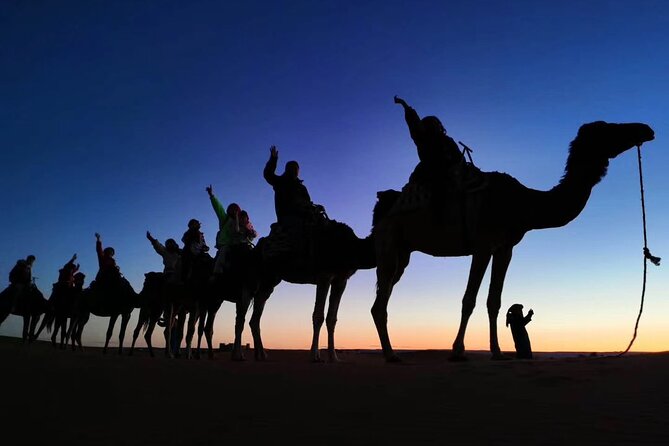 Private 3 Day Luxury Desert Tour From Fez to Marrakech - Online Reviews and Ratings