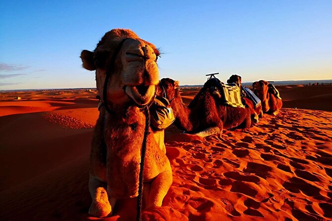 Private 3 Day Luxury Desert Tour From Fez to Marrakech - Tour Inclusions and Exclusions