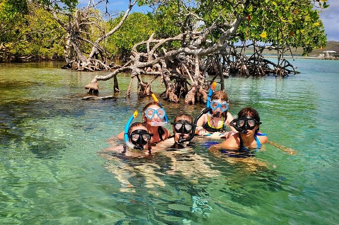 Private 3-Day Puerto Rico Sightseeing Tour From San Juan - Traveler Reviews