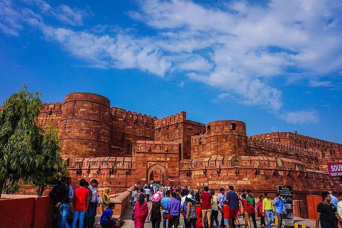 Private 3-Day Ranthambhore Tiger Tour From Agra Ending in Jaipur - Afternoon Safari in Ranthambhore