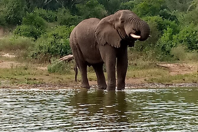 Private 3-Day Tour in Queen Elizabeth Park Safari - Transportation and Accessibility