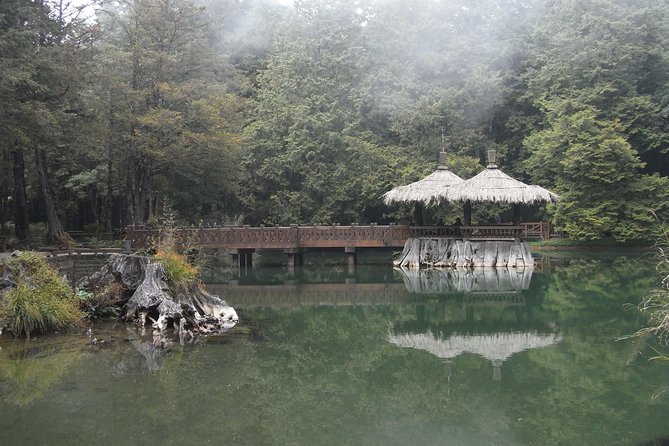 Private 3-Day Tour to Sun Moon Lake and Alishan - Itinerary Day 3: Chiayi to Taipei