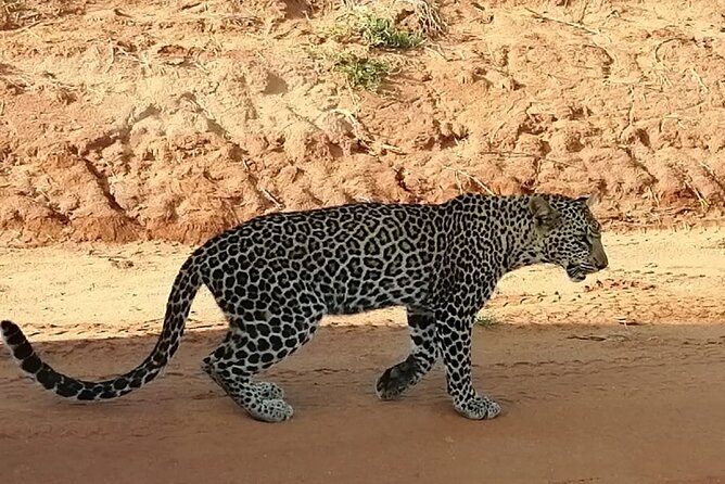 Private 3-Day Tsavo Safari From Mombasa - Pickup and Transportation