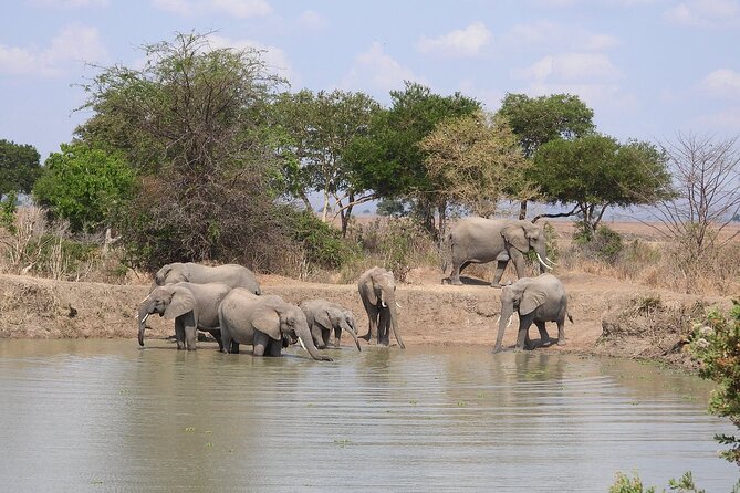 Private 3 Days 2 Nights Mikumi Adventures - Booking and Cancellation