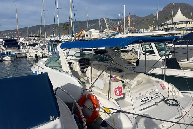 Private 3-Hour Boat Trip Costa Adeje - Activities and Experiences