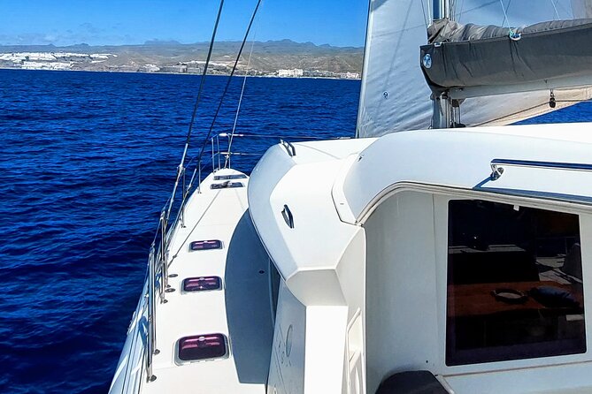 Private 3 Hour Evening Catamaran Cruise in South of Gran Canaria - Unique Experiences Offered