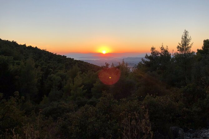 Private 3-Hour Hiking in Mount Ymittos - Review Breakdown and Ratings
