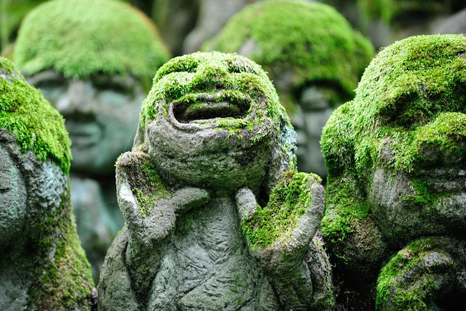 Private 3-hour Kyoto Arashiyama Rickshaw Tour - Age and Size Restrictions