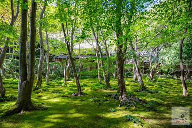 Private 3-hour Kyoto Arashiyama Rickshaw Tour - Transportation Information