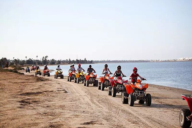Private 3-Hour Quad Ride on the Island of Djerba - Key Points