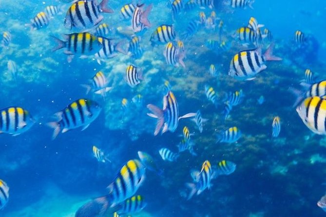 Private 3-Hour Snorkeling Tour With Arch Tour and Beach Time - Inclusions