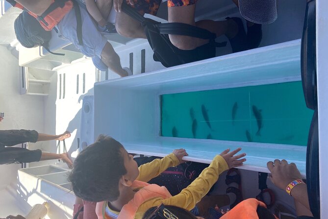 Private 3-Hour Snorkeling Tour With Arch Tour and Beach Time - Frequently Asked Questions
