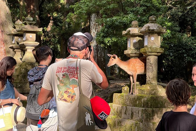 Private 3-Hour UNESCO Heritage Sites & Deer Park Tour - Experiencing the Deer Park