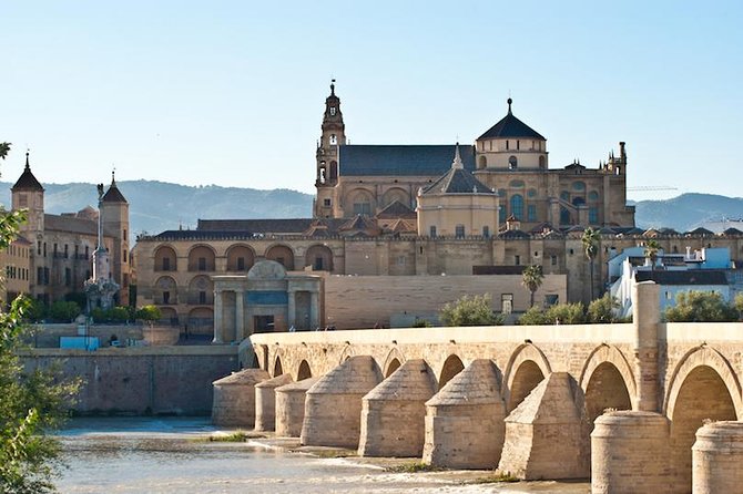 Private 3-Hour Walking Tour of Cordoba With Official Tour Guide - Customer Reviews