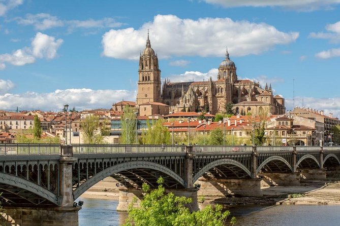 Private 3-hour Walking Tour of Salamanca - Overview of the Tour