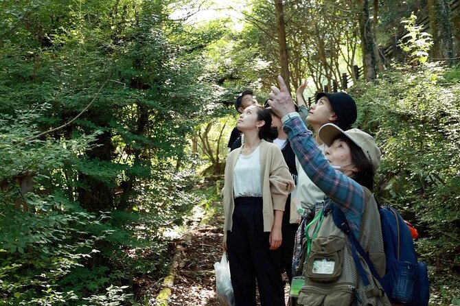 Private 3 Hours Ukihas Forest Visit With Yoga Activity - Additional Traveler Requirements
