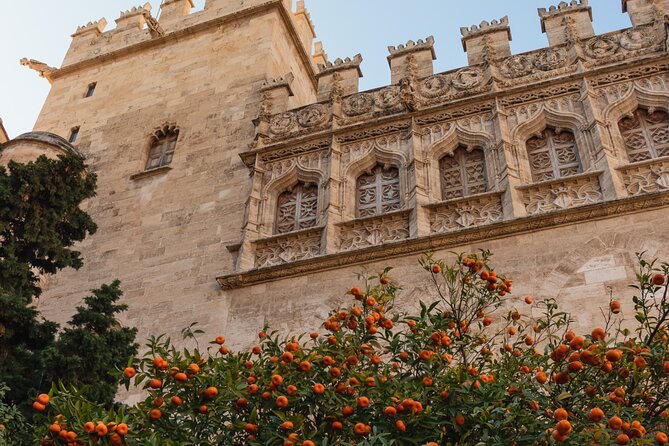 Private 3 Hours Walking Tour in Valencia City - Knowledgeable and Engaging Guide