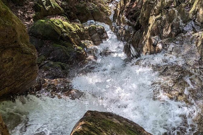 Private 3 Hours Waterfalls Sightseeing Tour - Key Points