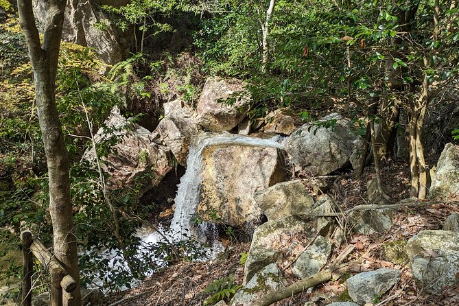 Private 3 Hours Waterfalls Sightseeing Tour - Meeting and Pickup Details