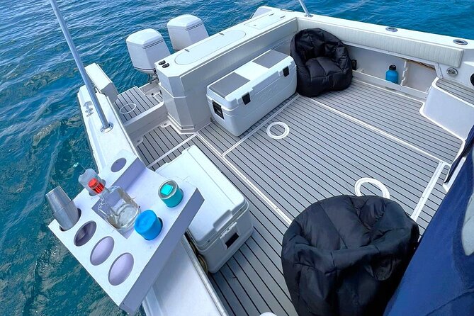 Private 30 Boat Charter for up to 6 Passengers to Icacos Island - Health and Accessibility