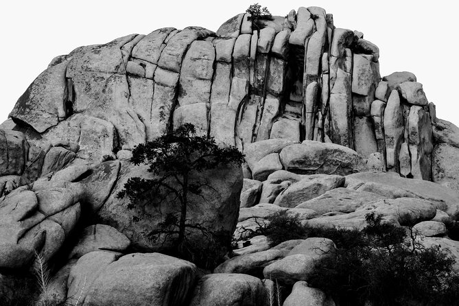 Private-36 Hour Adventure in Joshua Tree National Park - Availability and Scheduling
