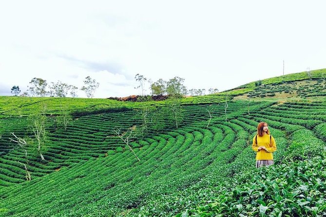Private 3days 2 Nights Da Lat Flower Paradies From Saigon - Key Points