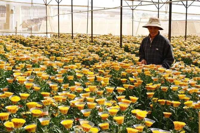 Private 3days 2 Nights Da Lat Flower Paradies From Saigon - Accommodation