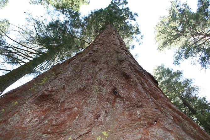 Private 4-Day Death Valley and Yosemite Tour From Las Vegas - Discovering Yosemite National Park