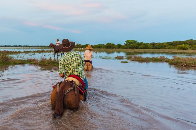 Private 4-Day Llanero Safari Tour in Enchantment - Key Points