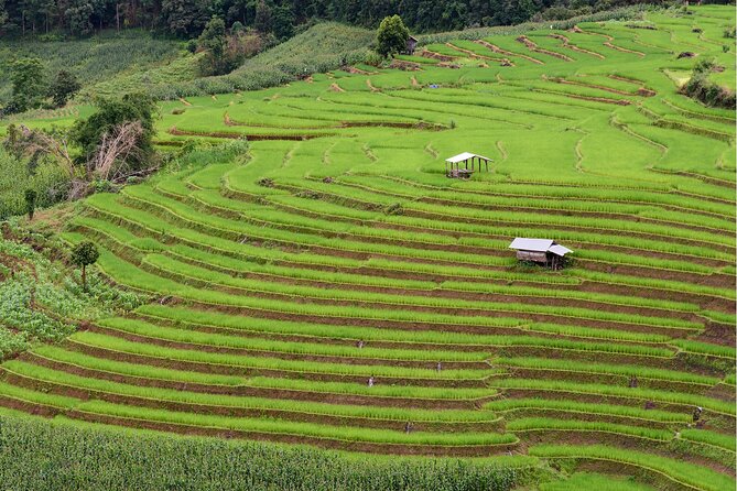 Private 4 Day Tour in Chiang Mai and Chiang Rai - Highlights of the Tour