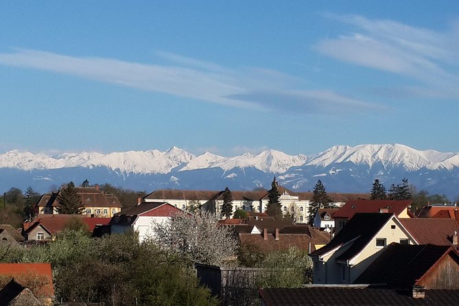 Private 4-Day Tour in Transylvania From Bucharest Hotel Pick-Up and Drop off - Tour Reviews and Ratings