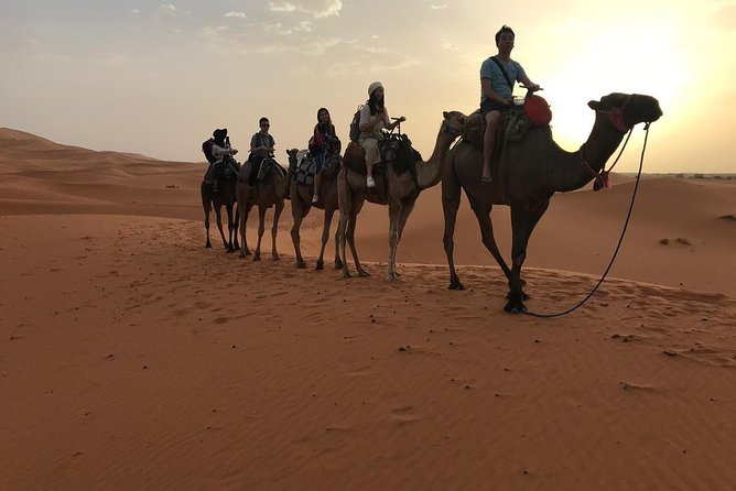 Private 4 Days Desert Tour From Fes to Marrakech - Positive Guest Reviews