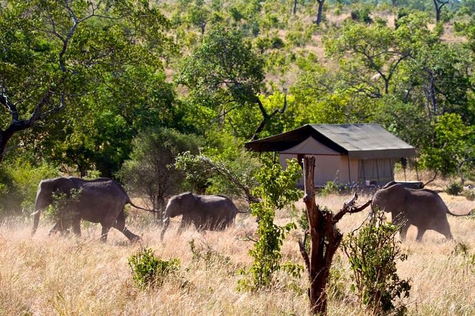 Private 4-Days Northern Circuit National Parks in Tanzania - Pickup and Start Time