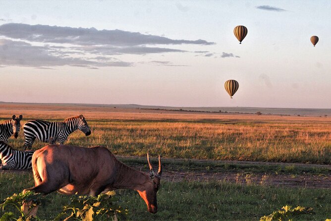 Private 4-Days Northern Circuit National Parks in Tanzania - Passport and Travel Requirements