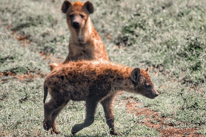 Private 4 Days Safari in Tarangire, Serengeti and Ngorongoro - Arusha, Tanzania Location