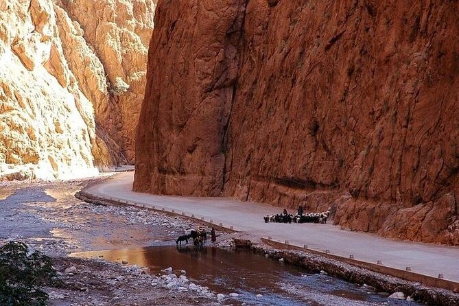 Private 4 Days Tour From Marrakech To Fes Via Erg Chebbi Desert - Accommodation Options