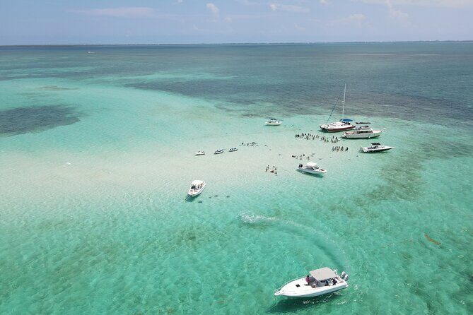 Private 4 hour Catamaran Tour - Snorkeling and Marine Encounters