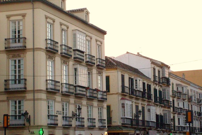 Private 4-hour City Tour of Malaga - Knowledgeable Local Guides